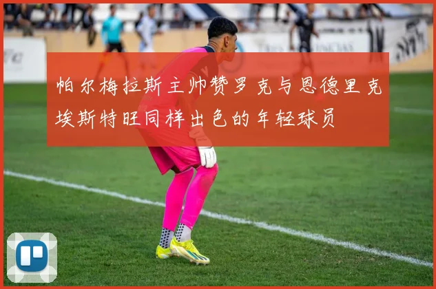 帕尔梅拉斯主帅赞罗克与恩德里克埃斯特旺同样出色的年轻球员