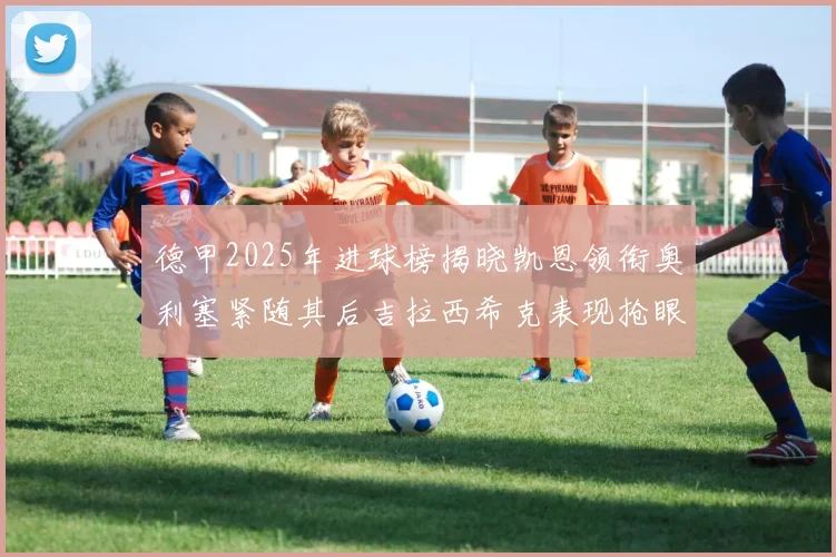 德甲2025年进球榜揭晓凯恩领衔奥利塞紧随其后吉拉西希克表现抢眼