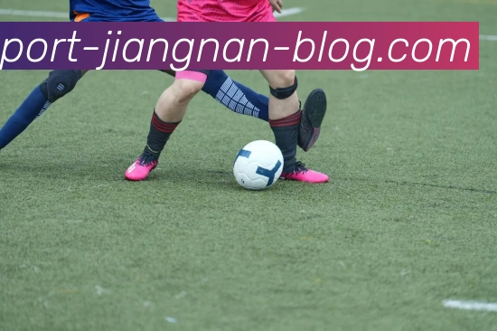 江南体育APP 封面图